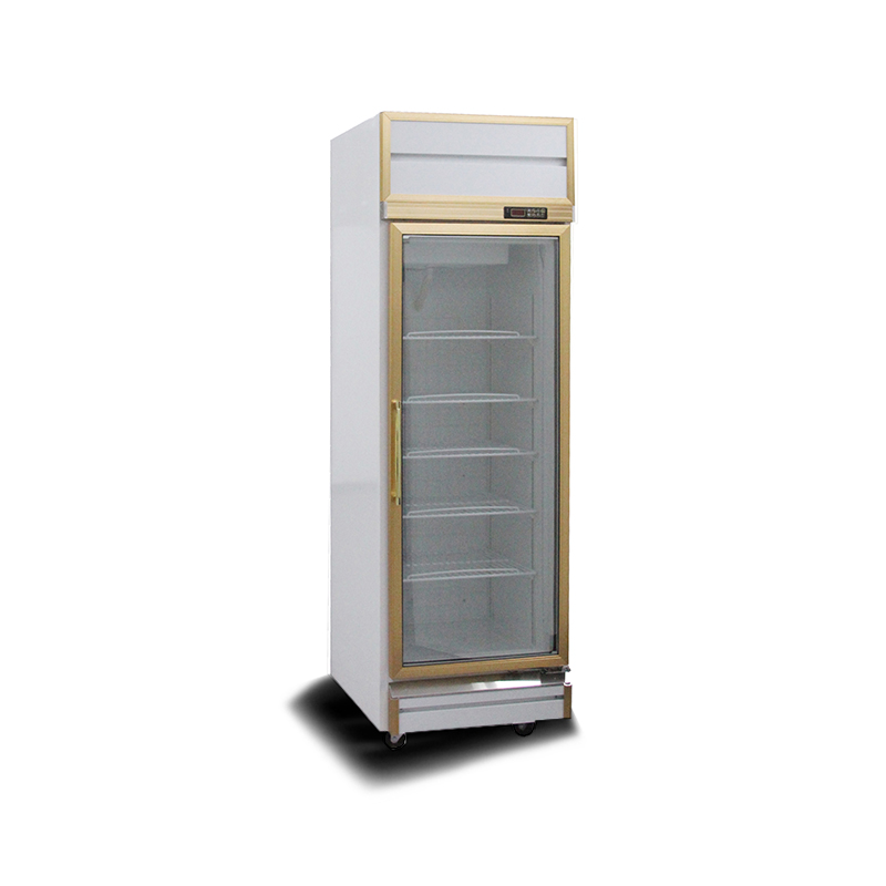 1 Door Colorbond Glass Door Display Chiller Unique large single door design